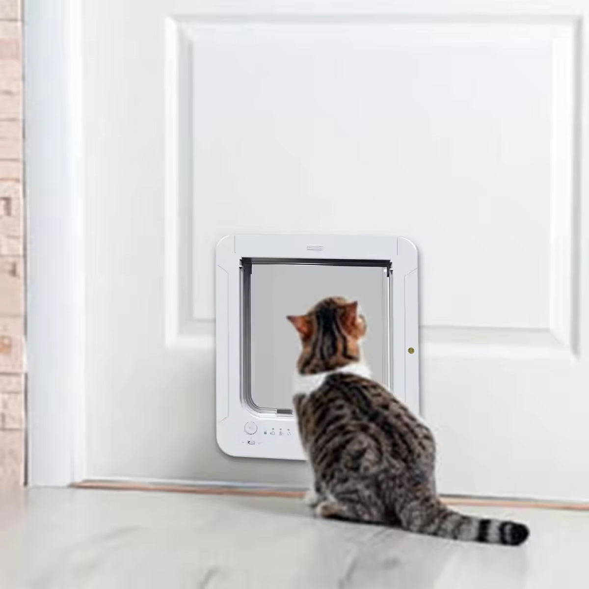 PawPortaz