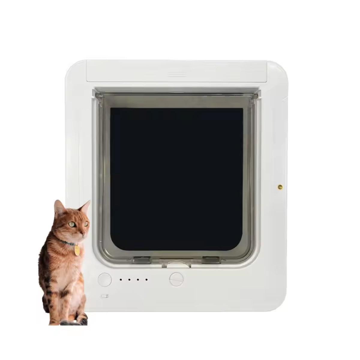 PawPortaz