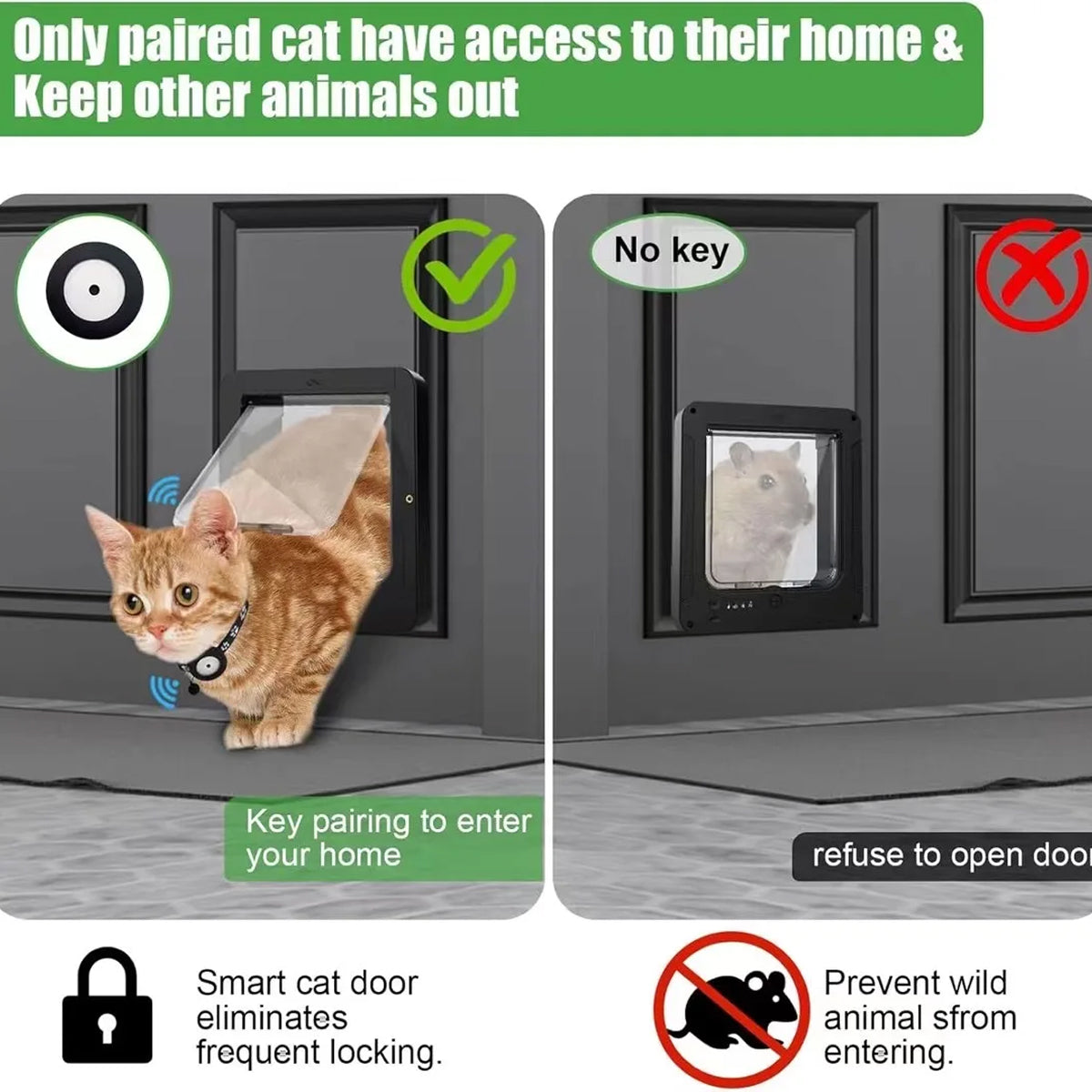 PawPortaz