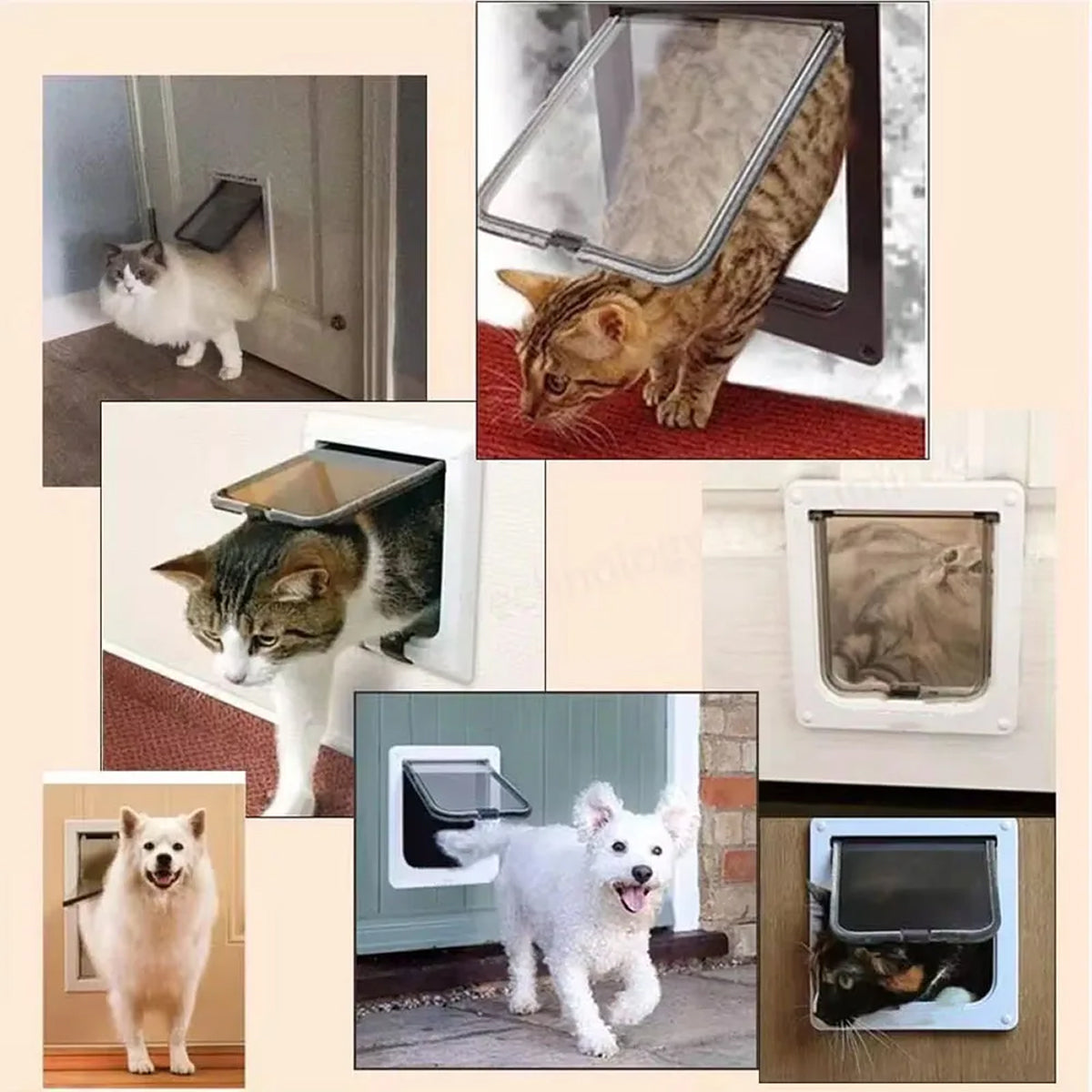 PawPortaz