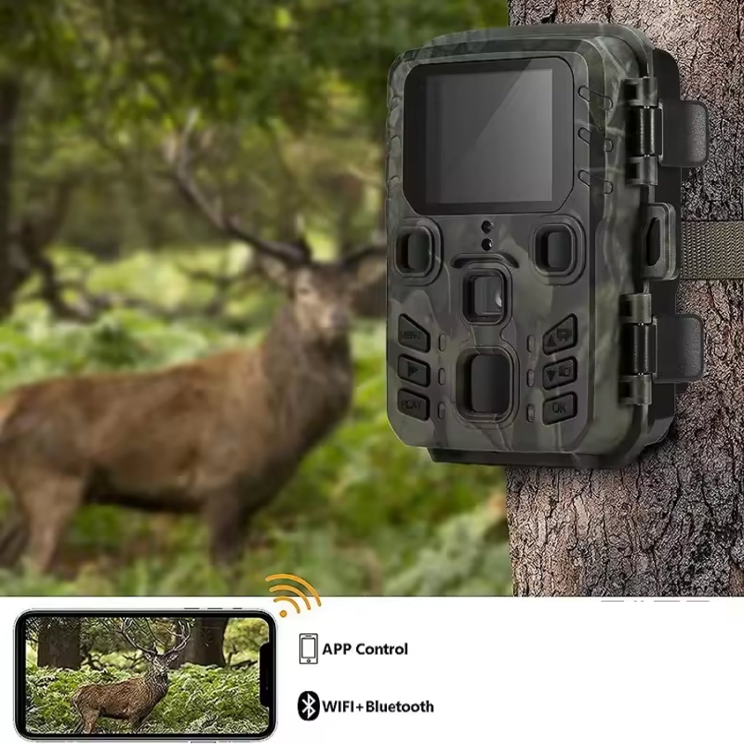 SkyeScout