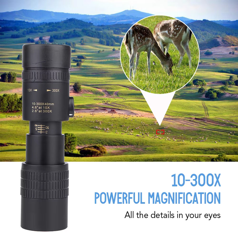 ZoomionX